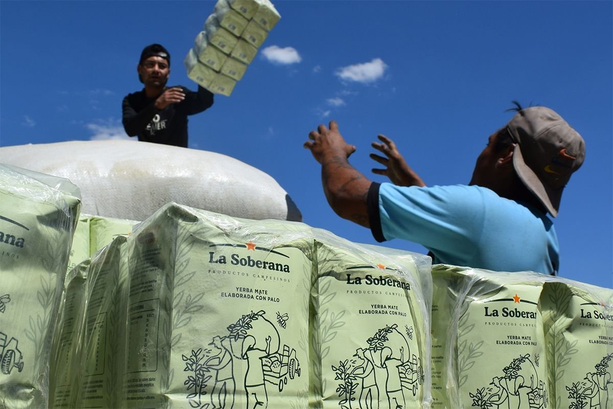 Productores presentaron en Encuentro Misionero “La Soberana”, la yerba campesina y agroecológica de Misiones crovira source 1035 whatsapp image 2026 05 29 at 20.11.34